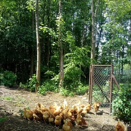 Privat U Capu V Beskydech アパート *