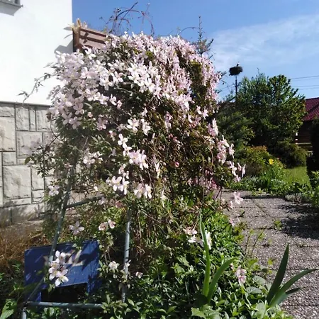 Privat U Capu V Beskydech Przno